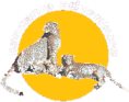 Tanzania Adventure Logo